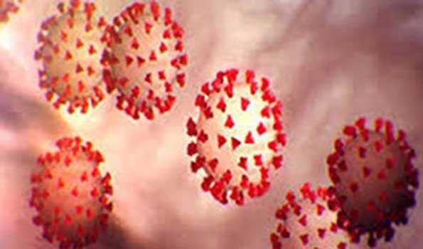 ऊर्जा मंत्री सुखराम, पीएसओ, दो बेटियों सहित 131 नये पाजिटिव मामलों की पुष्टि